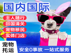 九寨黄龙空运代理国际宠物托运 【国
